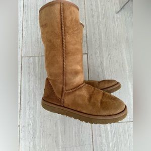 Chestnut Tall Uggs